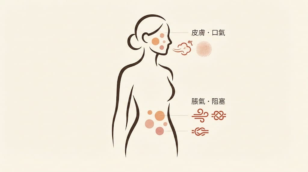 便秘症狀身體地圖：腹脹、皮膚暗沈、口氣不佳